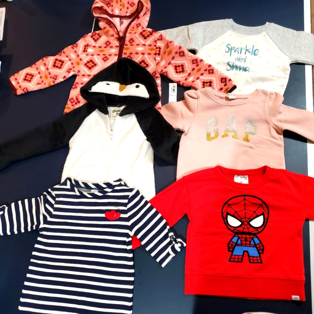 Toddler Girls Size 3T Assorted Fleece Sweatshirts & Hoodies